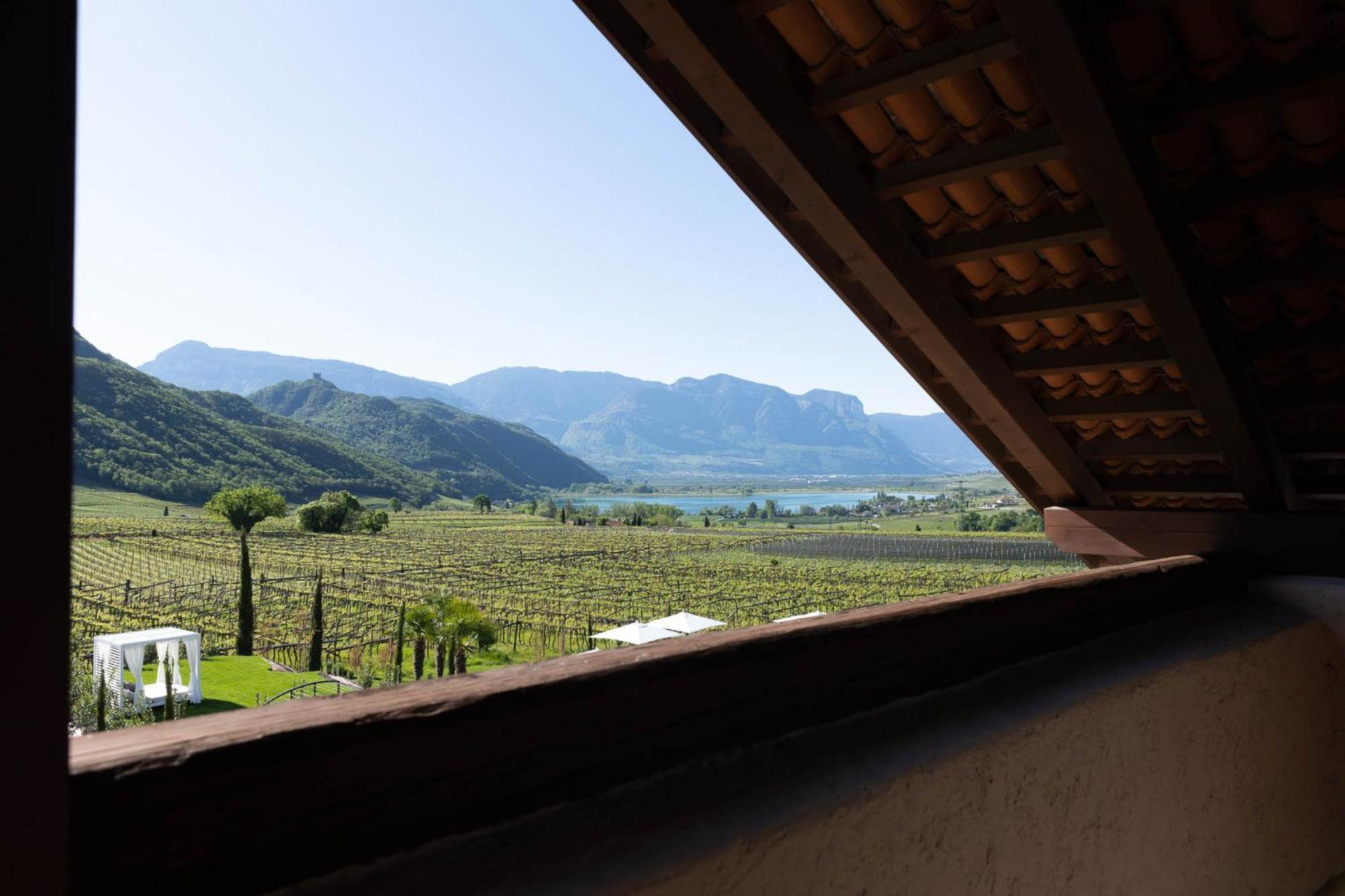Ansitz Battisti Suites (Adults Only) Кальдаро Номер фото